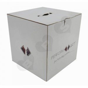 Transdermal Cosmetic Device Shipping Carton- Shanghai BPS
